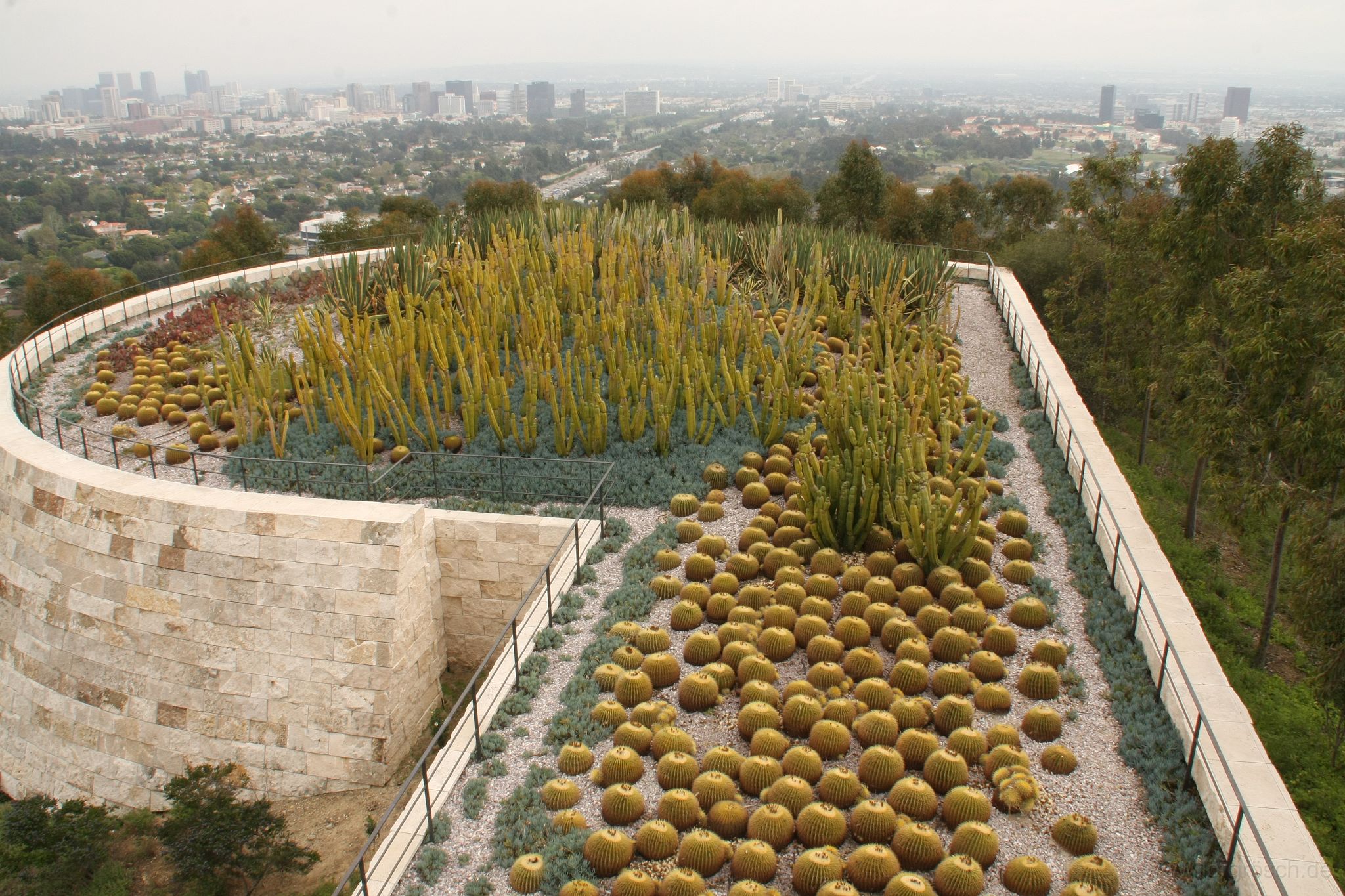 20090321-2-getty-kaktus.jpg - Kakteen, Getty Museum