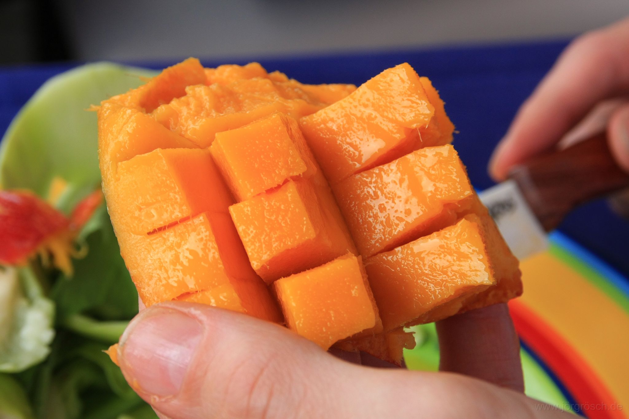 20090510-toniparty.jpg - Frische Früchte, Tonis Geburtstagsfeier, München