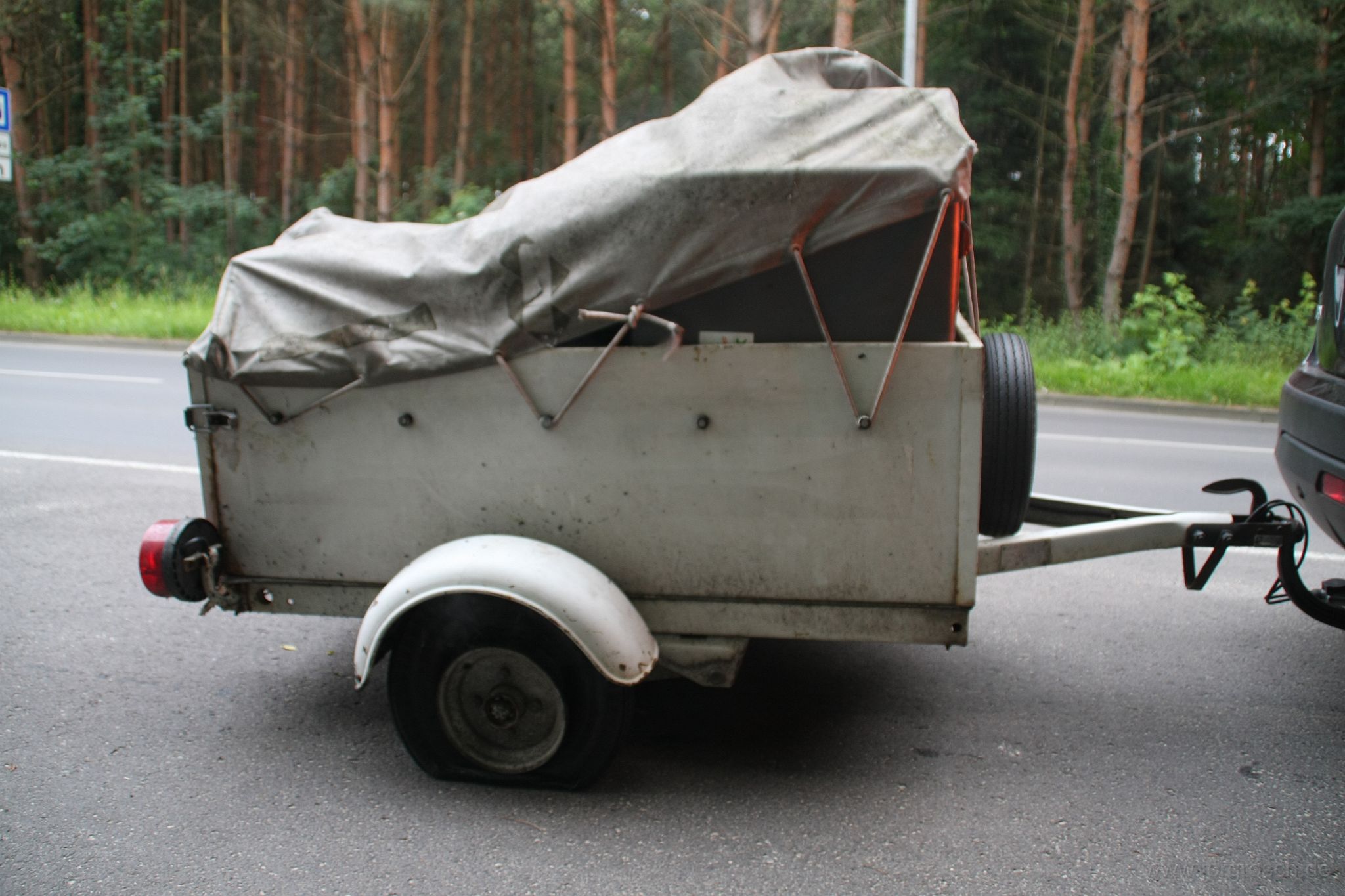 20090628-platt.jpg - alter Reifen - viele Mücken