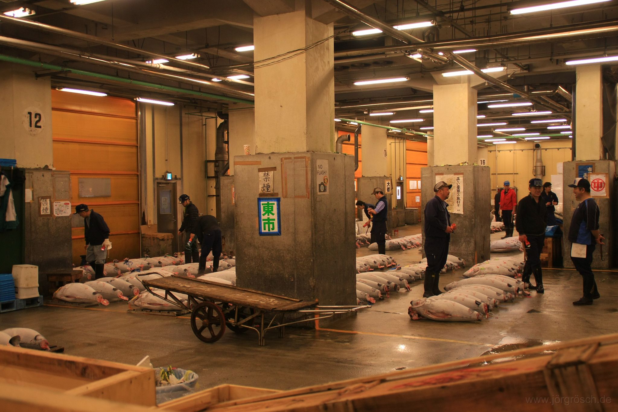 20140612-tunfischauktion.jpg - Tsukiji Fischmarkt - 築地市場 mit Tunfischauktion