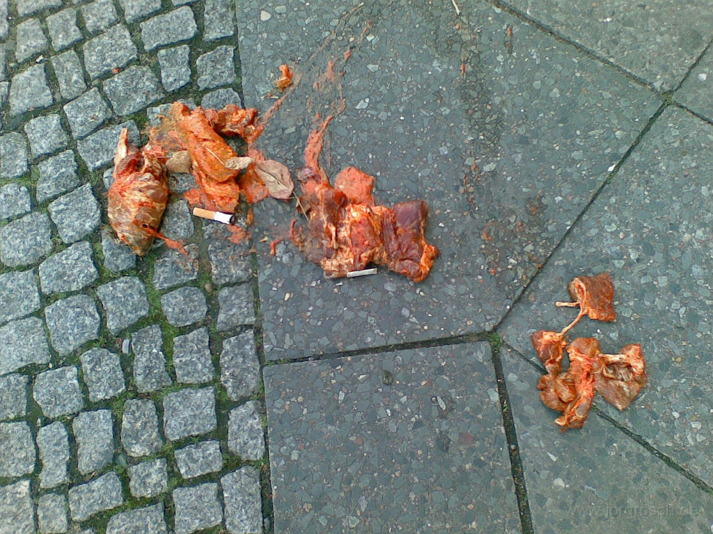 20080823.jpg
