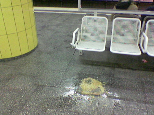 w-men-03.JPG - Erbrochenes zum Oktoberfest, München, S-Bahn
