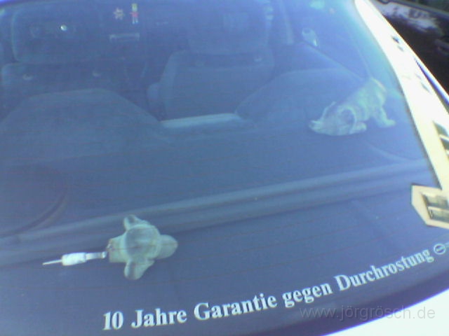 w-ver-10.JPG - Weckeldackel, geköpft